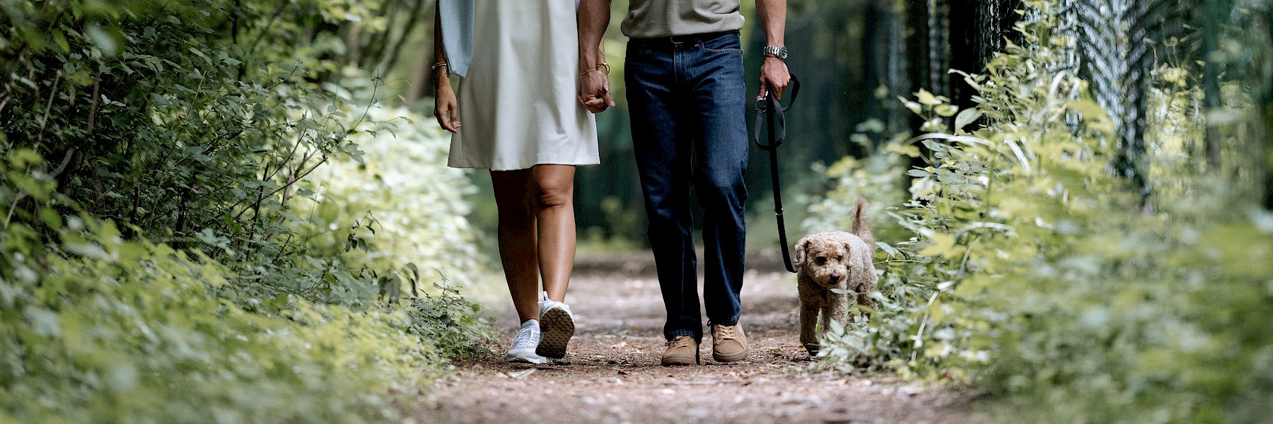 (c) Hechtfisch: Das Bild zeigt einen gemütlich eingerichteten Wohnraum mit hellen Möbeln und liebevollen Details. Im Vordergrund liegt der schwarz-weiß gesprenkelte Hund Faros entspannt auf einer gepolsterten, grauen Decke auf dem Holzfußboden. Hinter ihm stehen ein weißes Sofa mit dekorativen Kissen, ein eleganter Holztisch mit einer Vase getrockneter Blumen und ein passender Hocker. Die Wände sind zart gestrichen, ein großes Gemälde mit Windhunden schmückt den Raum. Das Fenster lässt Tageslicht herein und verleiht dem Zimmer eine warme, einladende Atmosphäre – ein harmonisches Zusammenspiel aus Stil, Ruhe und tierischer Gesellschaft.